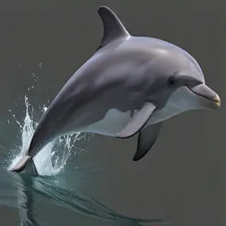 dolphin png
