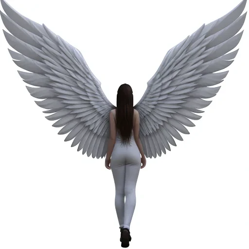 angle wings png
