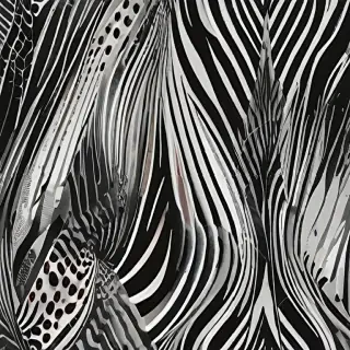black and white graphics