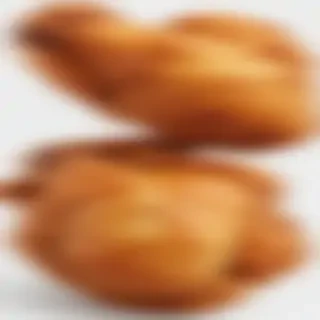 fried chicken png