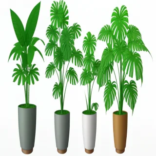 aesthetic plants png