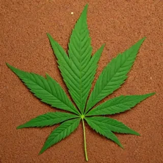 pot leaf png