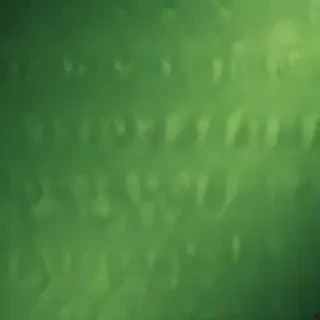 green wallpaper iphone