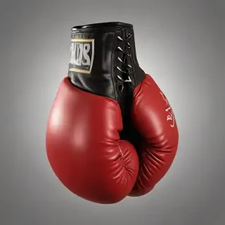 boxing glove png