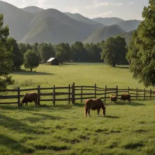 ranch background