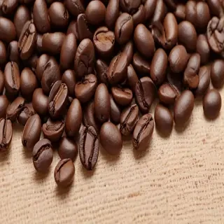 coffee bean png