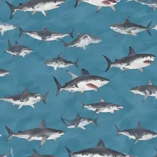 shark backgrounds