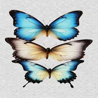 transparent background butterfly png
