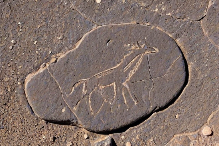 petroglyph