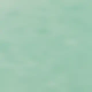 mint green bg