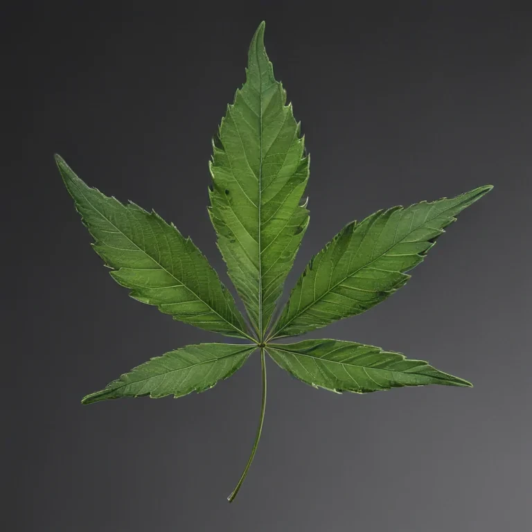 weed leaf png