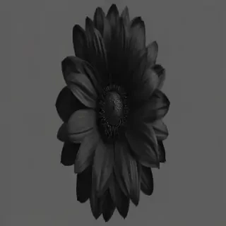 black flower png