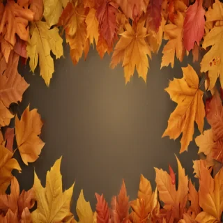 fall leaves png transparent