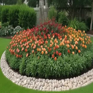 flower bed