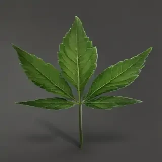 weed leaf png