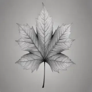 clipart leaf black and white