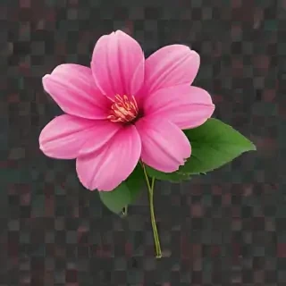 pink flower png