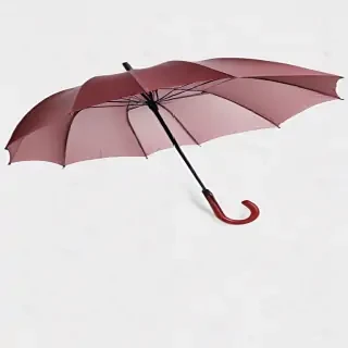 umbrella transparent background