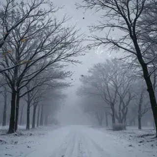 falling snow png