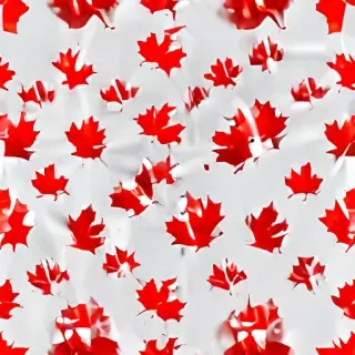 canada flag transparent