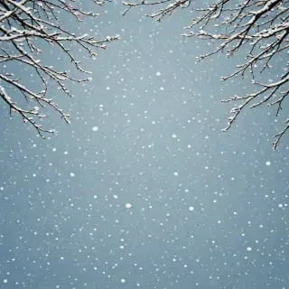 january background