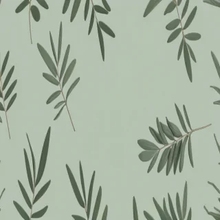 sage green aesthetic background