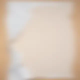 transparent background ripped paper