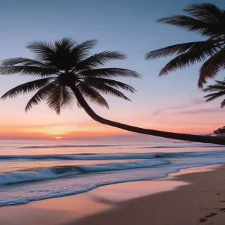 aesthetic beach pictures