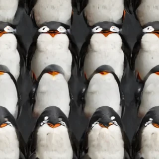 penguin background