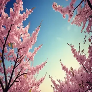 spring wallpaper iphone