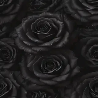 black roses background