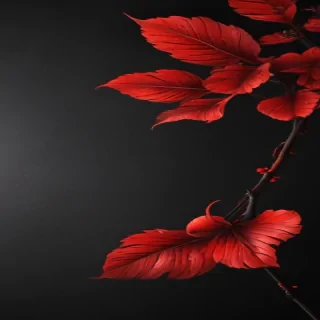 black and red wallpaper iphone