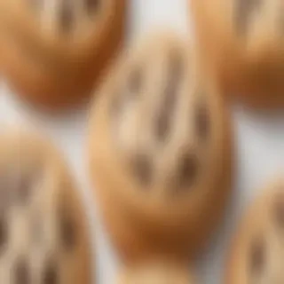 chocolate chip cookie png