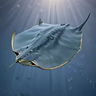 stingray png