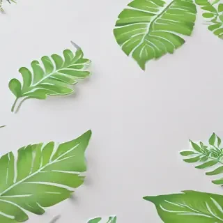 background white and green