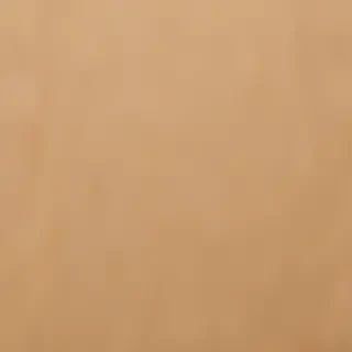 grain paper texture