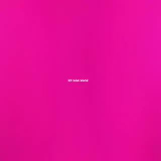 hot pink background