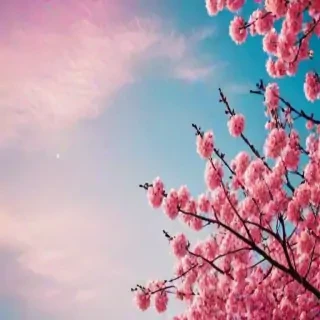 pretty backgrounds for phones