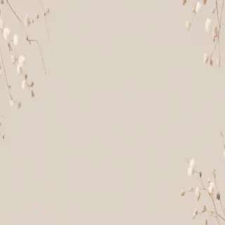 neutral aesthetic desktop wallpaper
