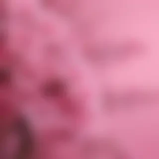 pink wallpapers
