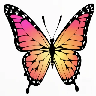 butterfly clipart transparent background