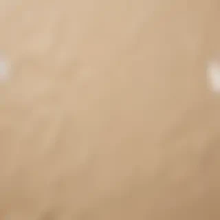 torn paper texture