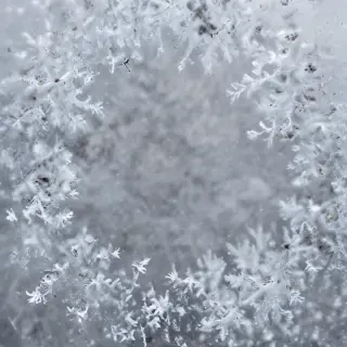 snow pngs