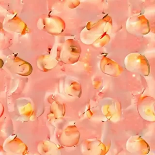 peach color background