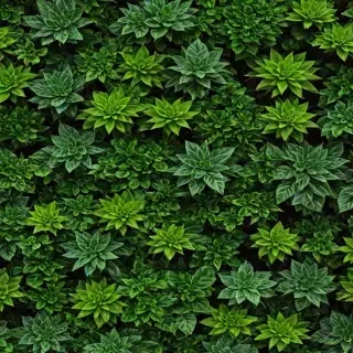 plants zoom backgrounds