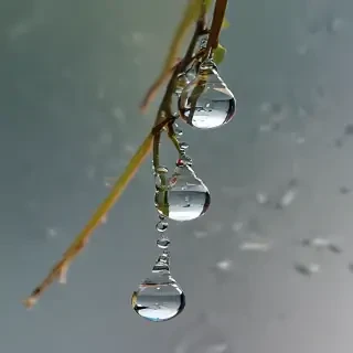 water droplets transparent