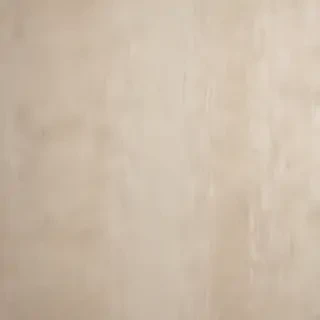 neutral backgrounds
