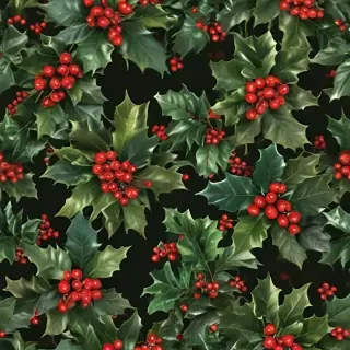 images of holly