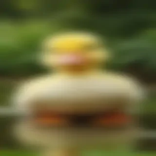 cute duck wallpaper