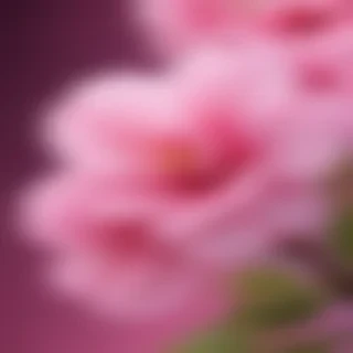 cute pink iphone backgrounds